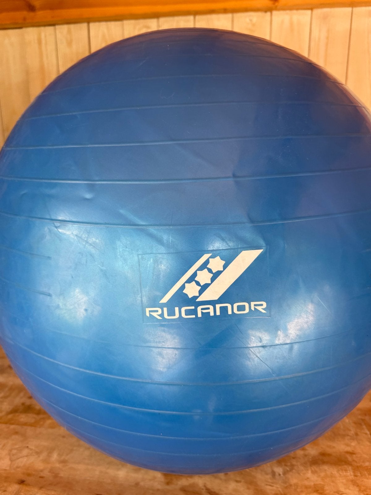 Rucanor Fitnessbal - Blauw, Ophalen, Gebruikt, Buik, Fitnessbal