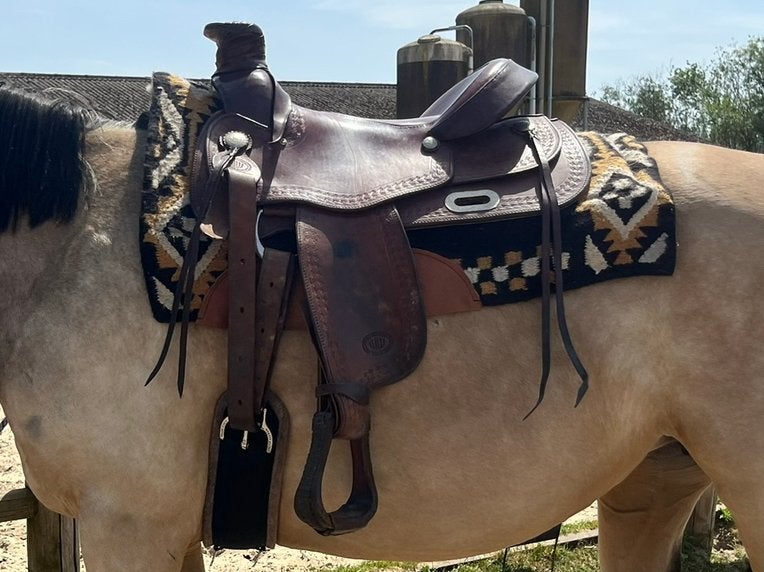 Westwood roper 16QH, Ophalen, Gebruikt, Overige merken, Overige disciplines