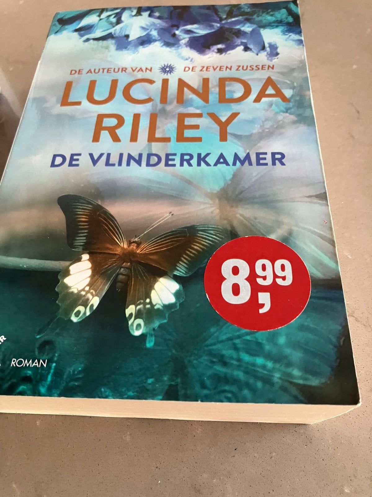 Lucinda Riley - De vlinderkamer, Boeken, Romans, Ophalen of Verzenden, Zo goed als nieuw, Lucinda Riley