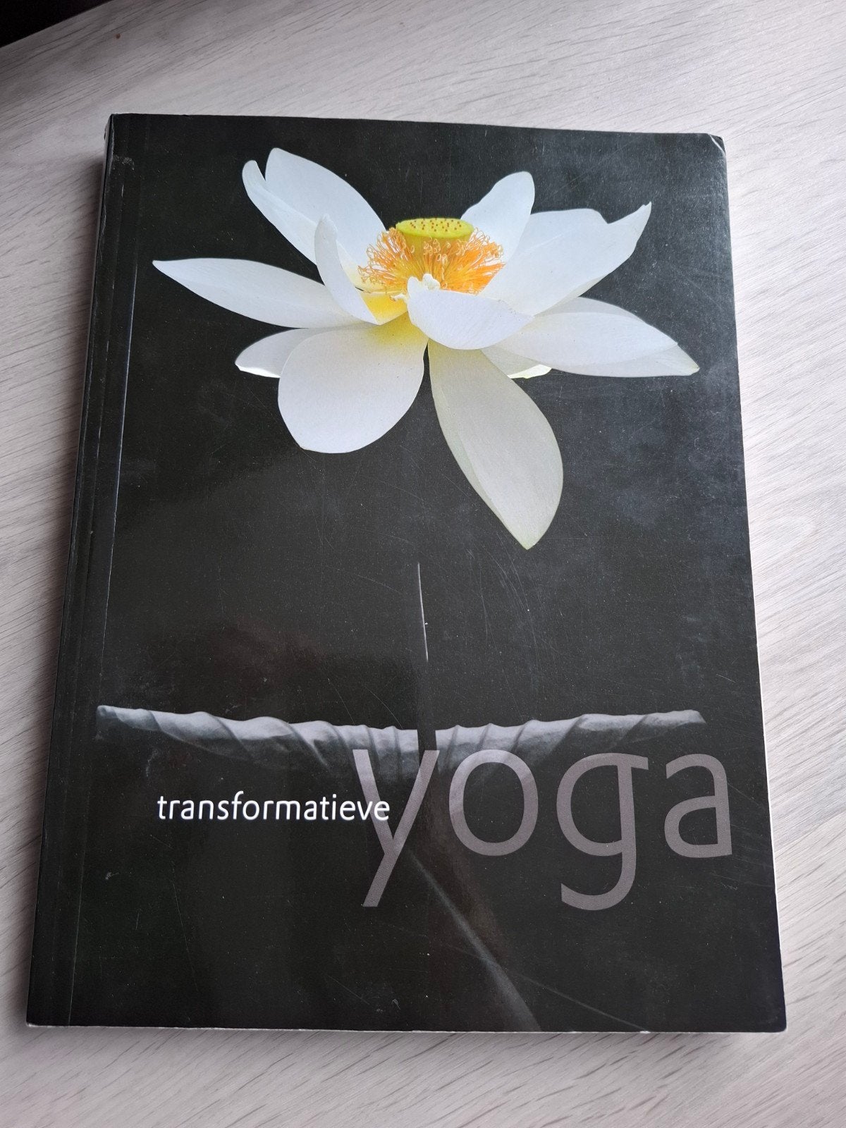 Transformatieve yoga, Gelezen, Meditatie of Yoga, Ophalen of Verzenden, Instructieboek