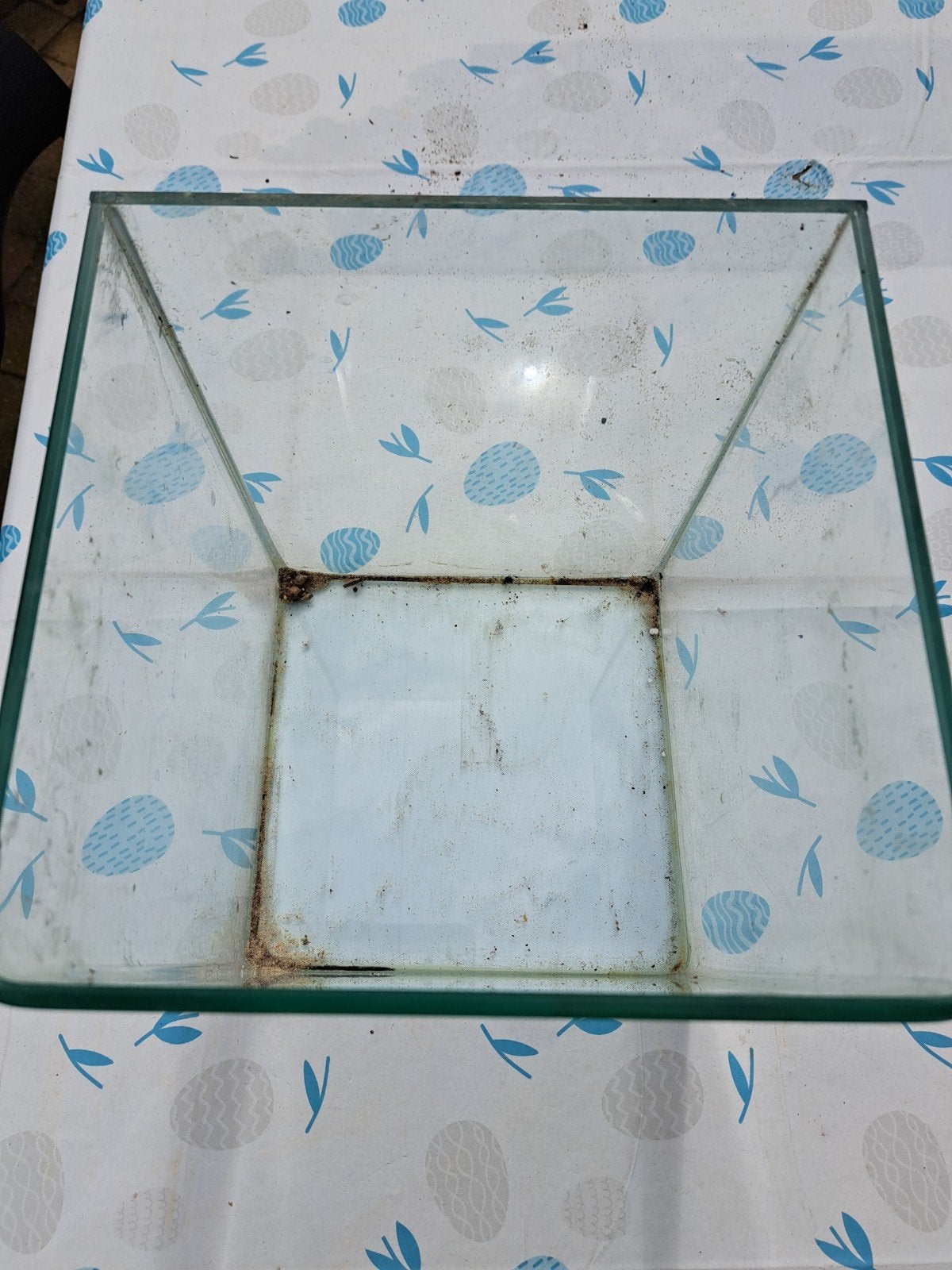 Klein Aquarium, Ophalen, Gebruikt, Leeg aquarium