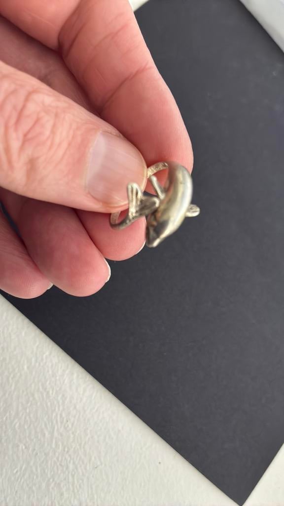925 sterling zilver ring 17 mm dolfijn, Sieraden, Tassen en Uiterlijk, Ringen, Gebruikt, Ophalen of Verzenden, 17 tot 18, Dame
