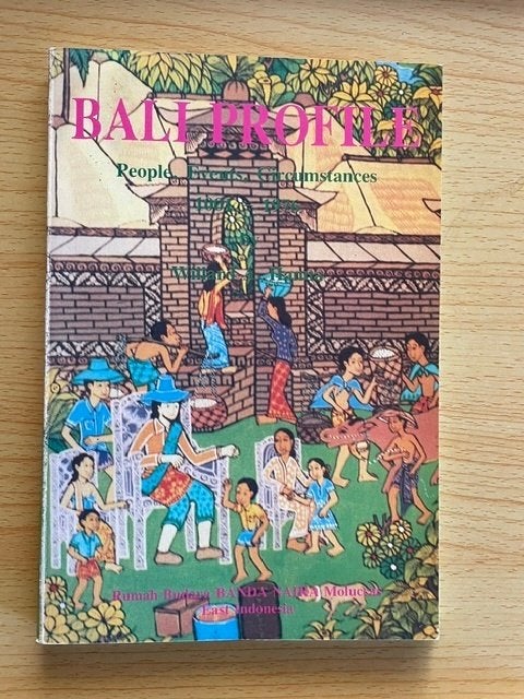 De geschiedenis van Bali in vogelvlucht, Ophalen of Verzenden, Gelezen, Willard A. Hanna