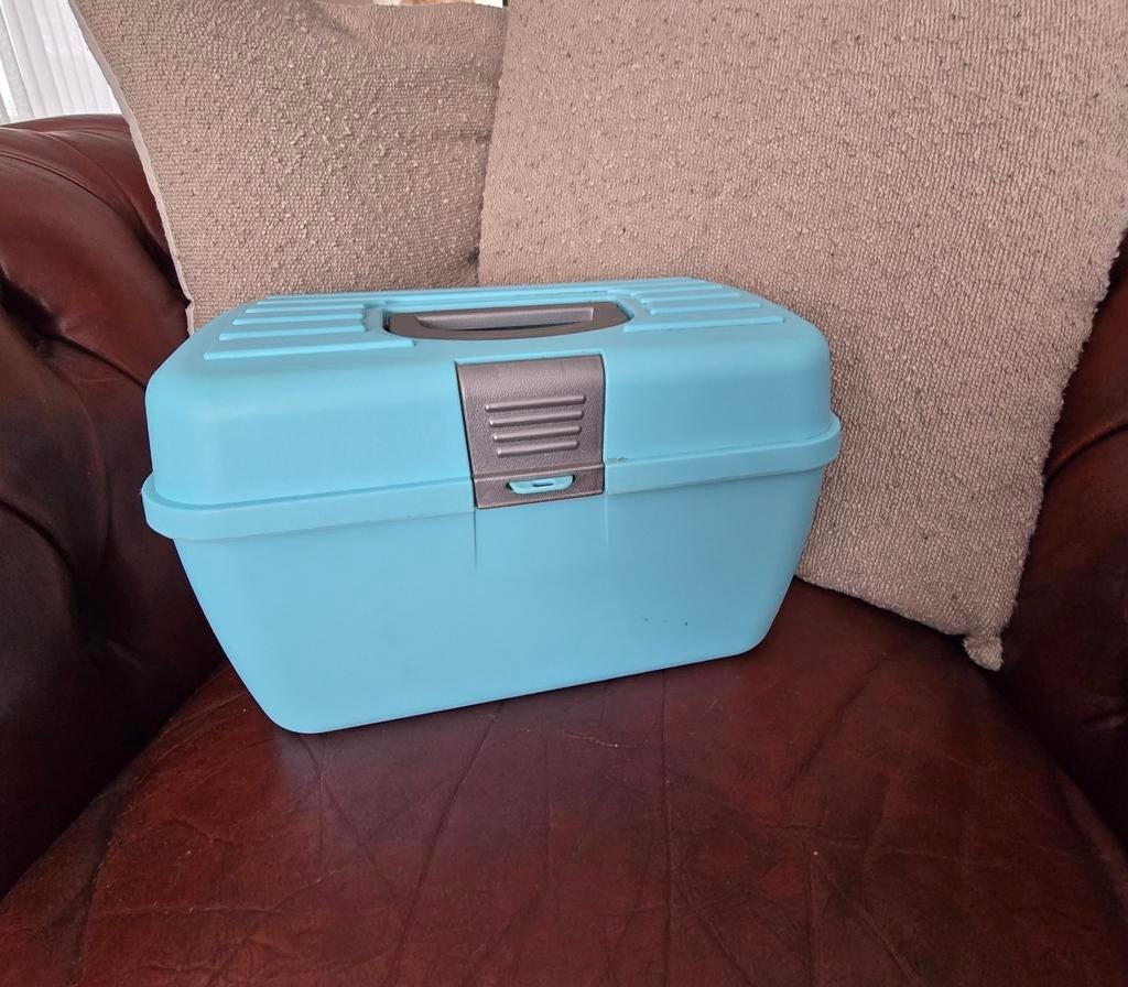 Kunsstof opbergbox  met vakjes, Ophalen of Verzenden, Kunststof, Minder dan 50 cm, Minder dan 50 cm