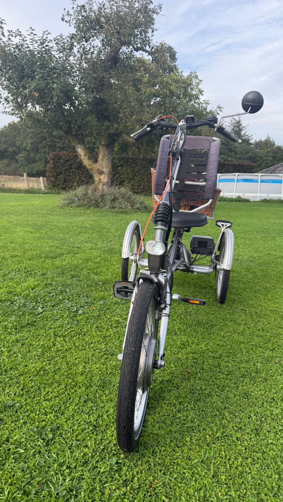 Foto 5 van Van Raam easy rider