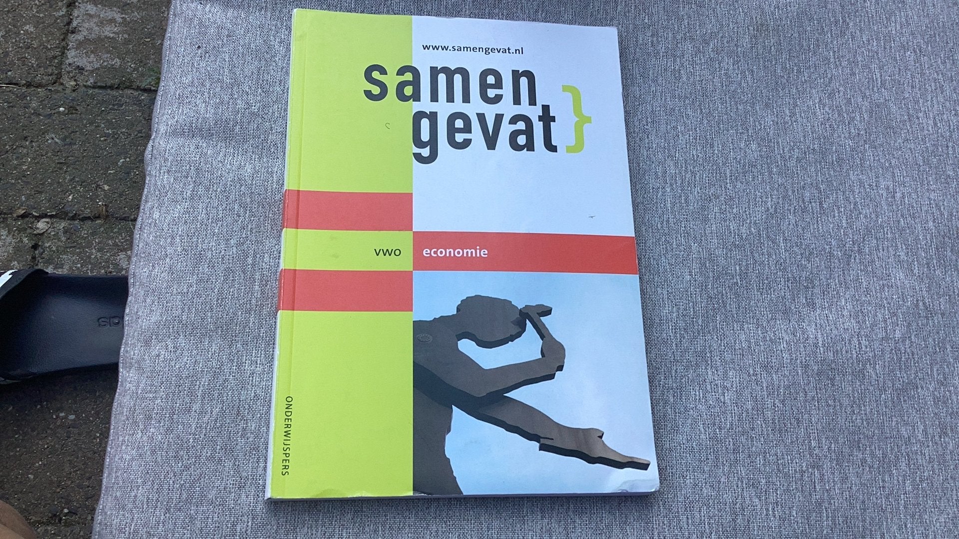 Gratis Samengevat economie vwo, Ophalen of Verzenden, Beta, Zo goed als nieuw, WO