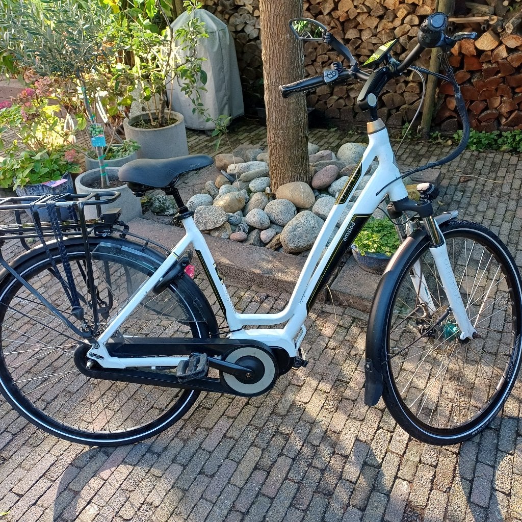 Elektrische fiets met extra accu 600W, framehoogte 51 cm, Gebruikt, Versnellingen, 50 tot 53 cm, Schijfrem