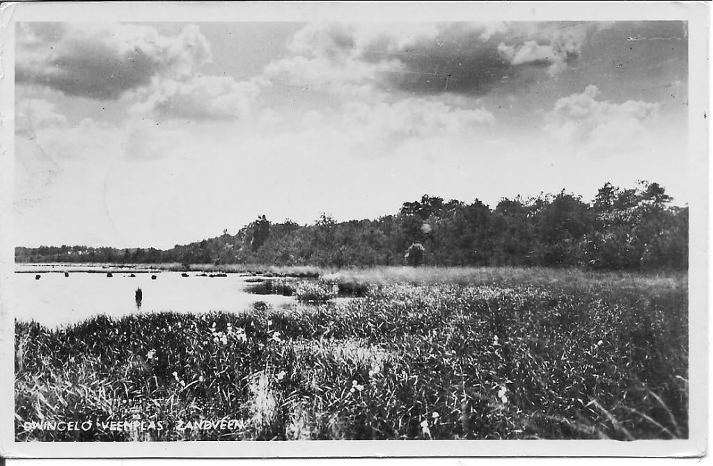 Dwingeloo Veenplas Zandveen., Ophalen of Verzenden, 1940 tot 1960, Gelopen, Drenthe