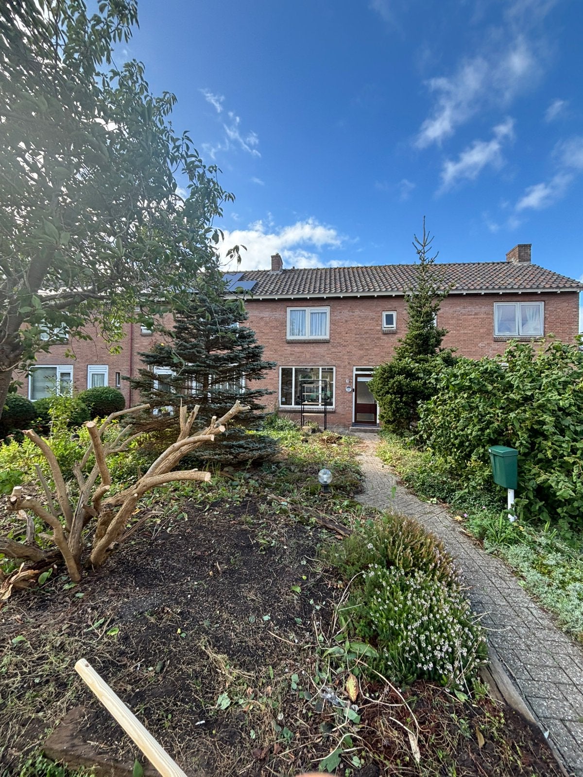 Grond, Ophalen, Halfschaduw, Overige soorten, 100 tot 250 cm