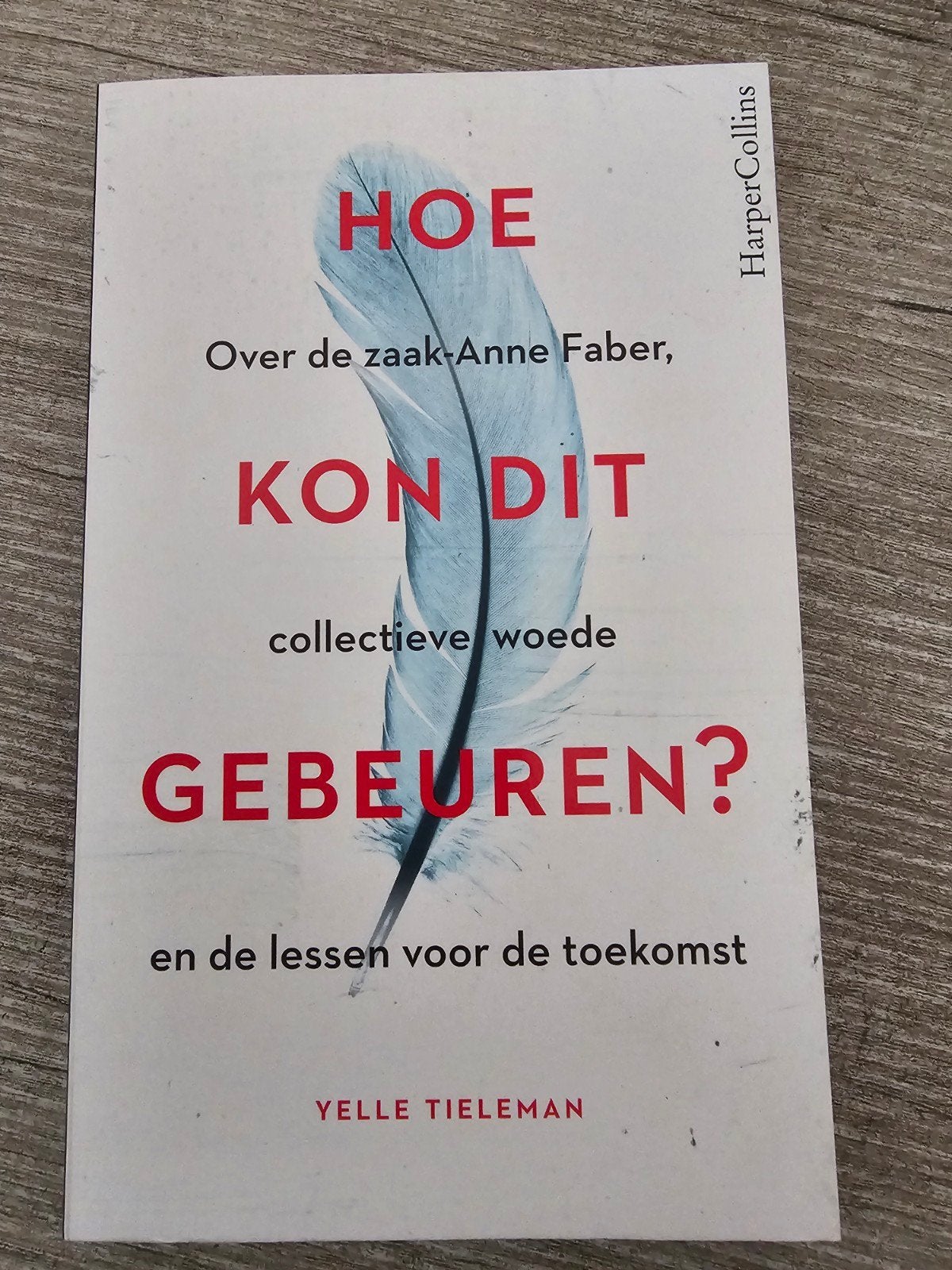 Hoe kon dit gebeuren? Over de zaak-Anne Faber, Ophalen of Verzenden, Gelezen, Yelle Tieleman