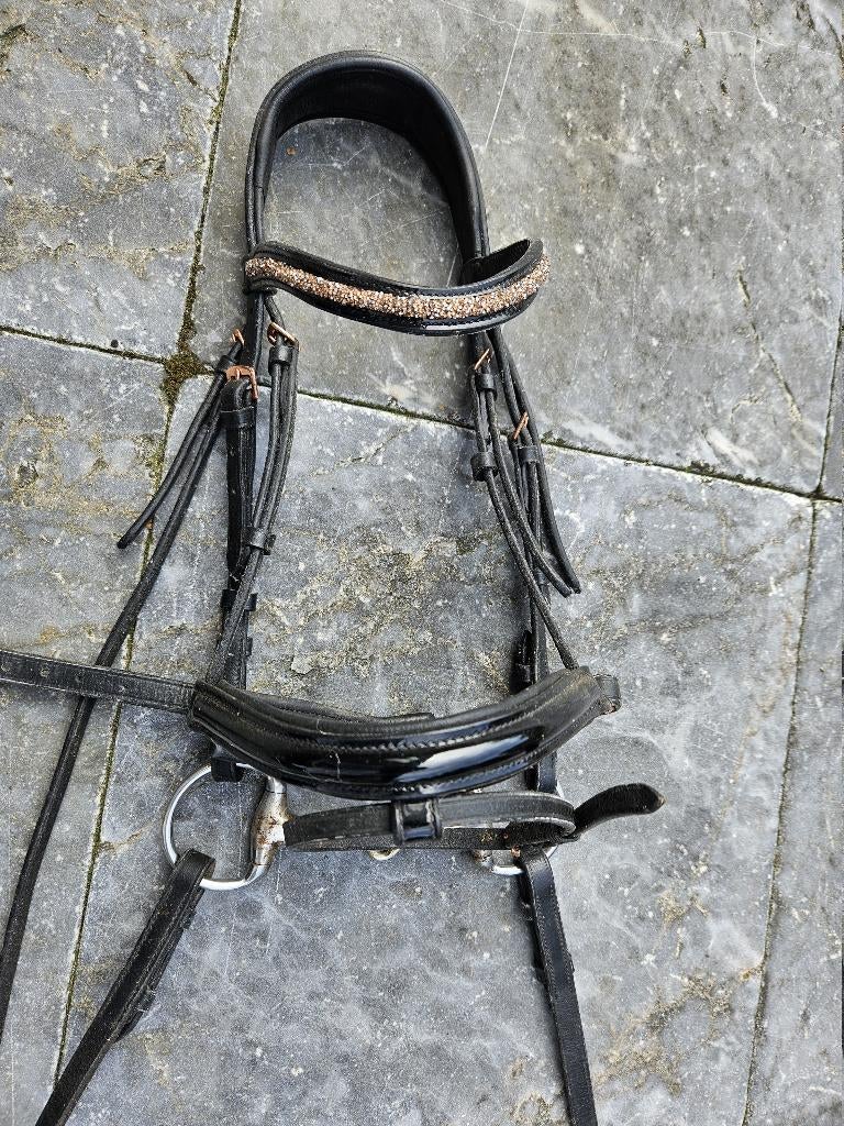 Paarden tuig teugels  leer Cob pony, zo goed als nieuw, Ophalen of Verzenden, Zo goed als nieuw, Recreatie