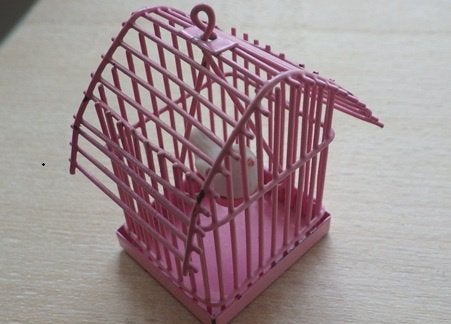 Poppenhuis: Vogelkooitje met Vogel, Ophalen of Verzenden, Nieuw, Poppenhuis