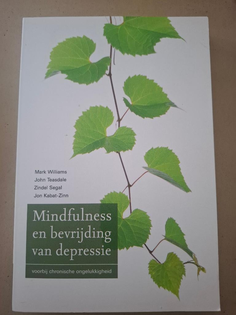 Mindfulness en bevrijding van depressie, Boeken, Mark williams, Nieuw, Ophalen of Verzenden, Overige onderwerpen