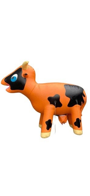 Ranja koe te huur, Ophalen, Zo goed als nieuw, Verjaardag