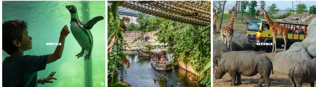 Wildlands Emmen 4 toegangskaarten, Drie personen of meer, Ticket of Toegangskaart