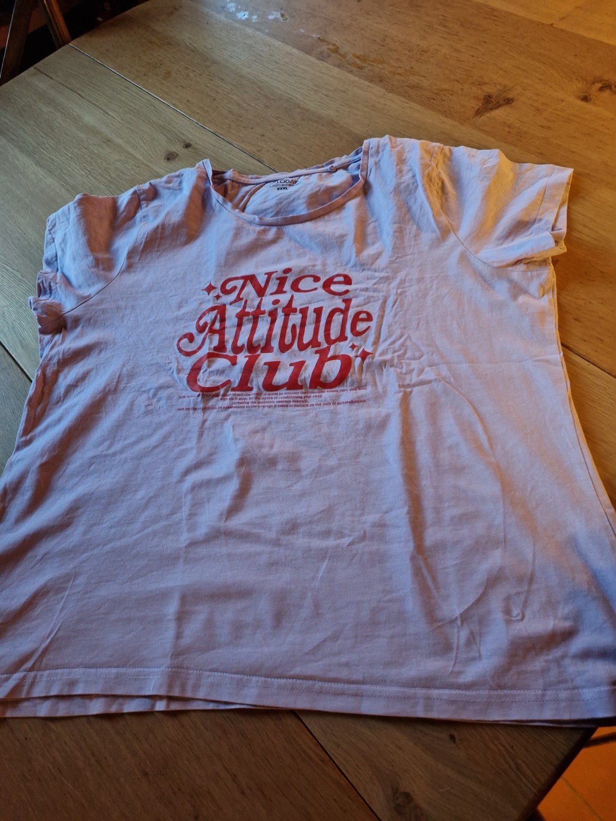 LILA TSHIRT MAAT XXXL, Kleding | Dames, Paars, Maat 46/48 (XL) of groter, Ophalen of Verzenden, Zo goed als nieuw