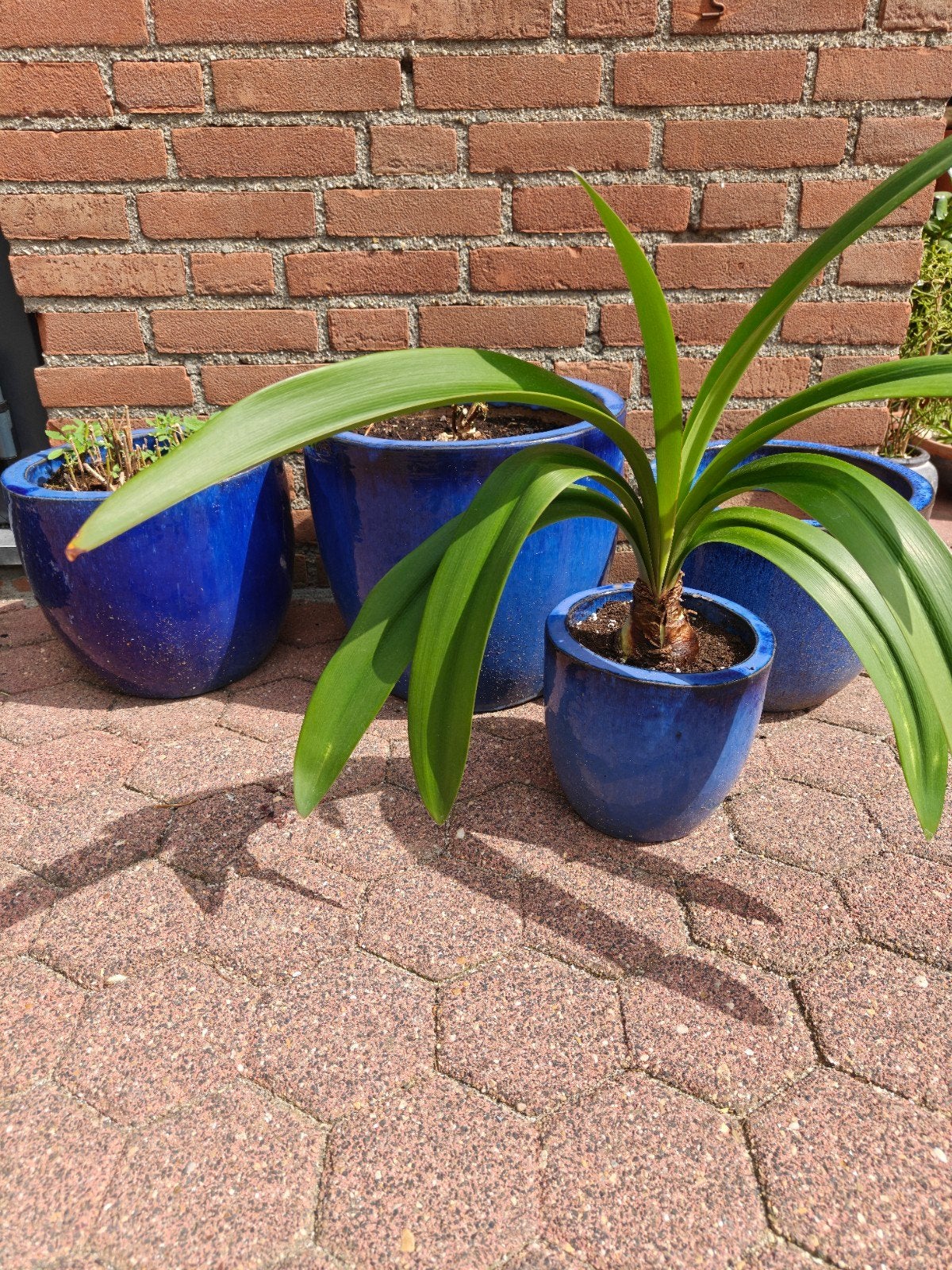set van 4 stevige blauwe potten, Tuin en Terras, Bloempotten, Rond, Minder dan 40 cm, Aardewerk, Ophalen