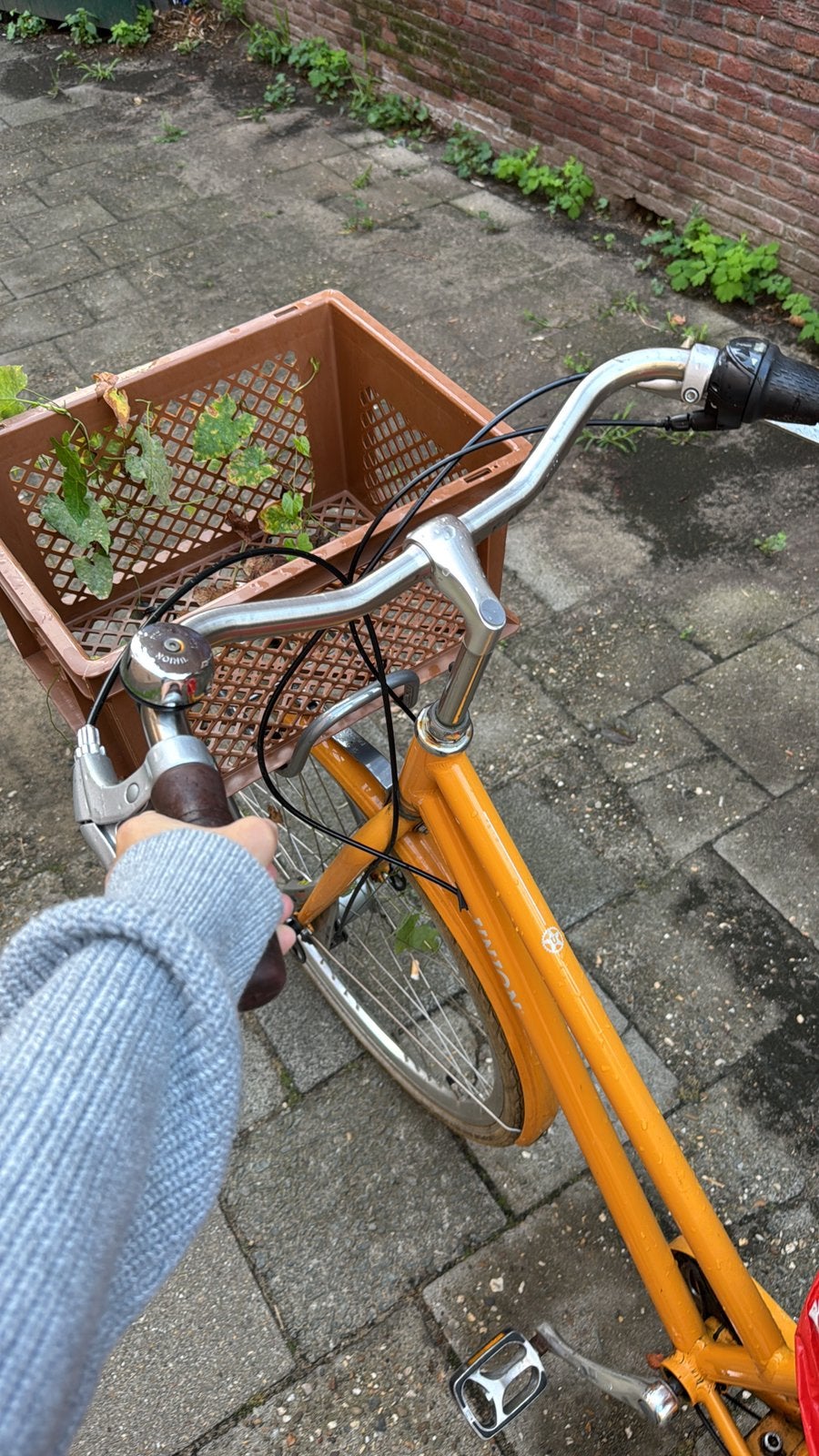 Union Bike with Basket Yellow, Ophalen