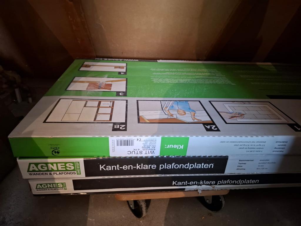 Nieuwe Agnes kant-en-klare plafondplaten, Ophalen, Nieuw