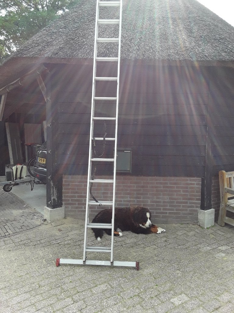 atrex ladder 2x14 sporten, Doe-het-zelf en Verbouw, Ophalen, Gebruikt, Ladder, 4 meter of meer
