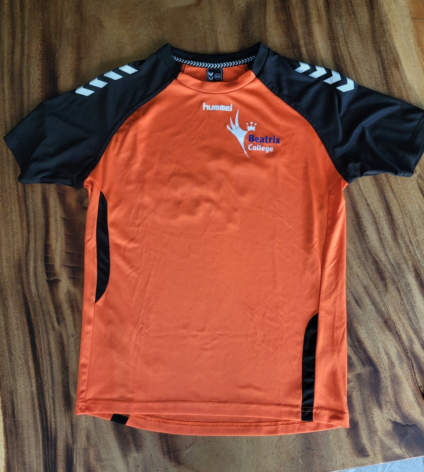 Beatrix College sportshirt jongens, Ophalen, Blauw, Overige maten, Zo goed als nieuw