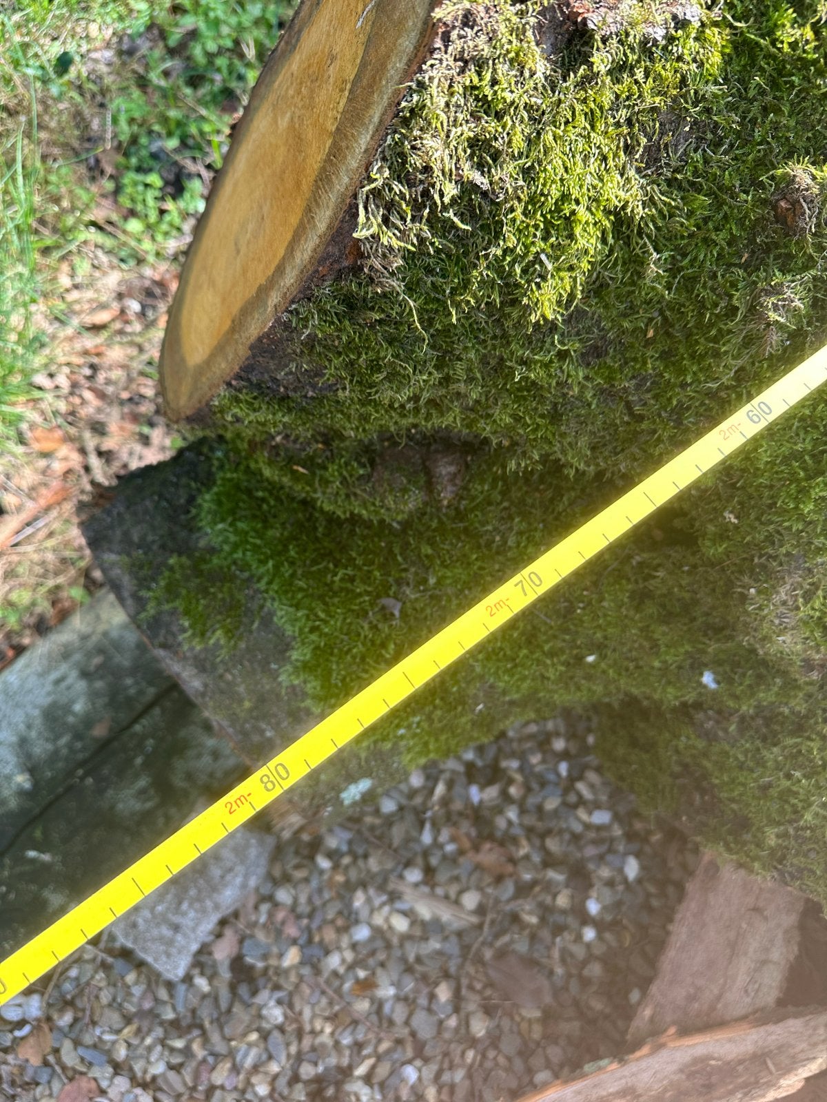 Prunus/ Kers, Stam - Perfect voor planken, Ophalen, 25 tot 50 mm, Overige typen, 250 tot 300 cm