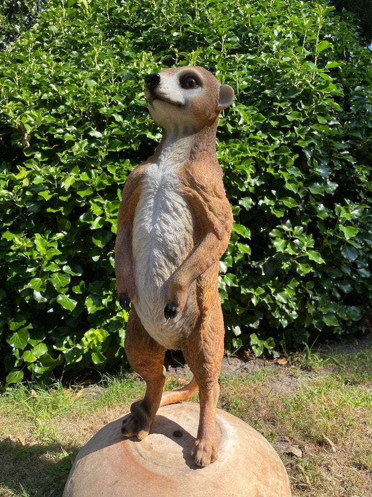 Beeld Stokstaart aap, tuin, vijver, dierentuin 62cm, Tuin en Terras, Tuinbeelden, Ophalen, Nieuw, Kunststof, Dierenbeeld