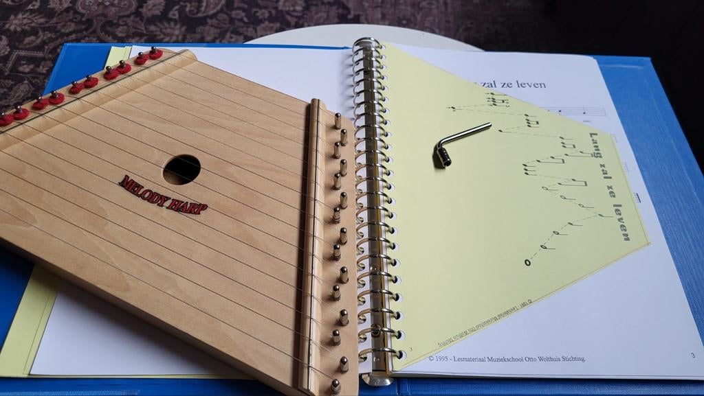 Melodieharp, Muziek en Instrumenten, Ophalen of Verzenden