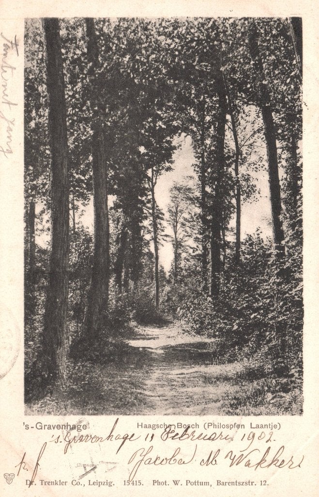 Den Haag, Haagsche Bosch, Philosofen Laantje (1902) 131647, Verzamelen, Ophalen of Verzenden, Voor 1920, Gelopen, Zuid-Holland