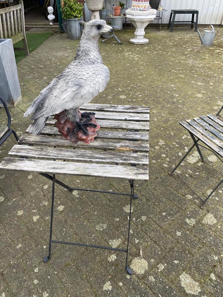 Hele mooie grote roofvogel, Tuin en Terras, Ophalen, Zo goed als nieuw