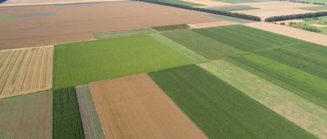 Gezocht akkers of percelen voor metaal detectie, Dieren en Toebehoren, Stalling en Weidegang, Weidegang