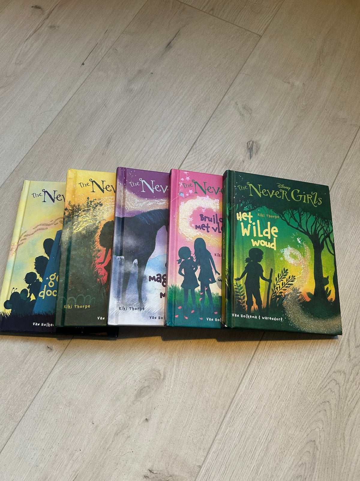 Disney The Never Girls Boekenreeks (5 boeken), Ophalen of Verzenden, Zo goed als nieuw, Fictie