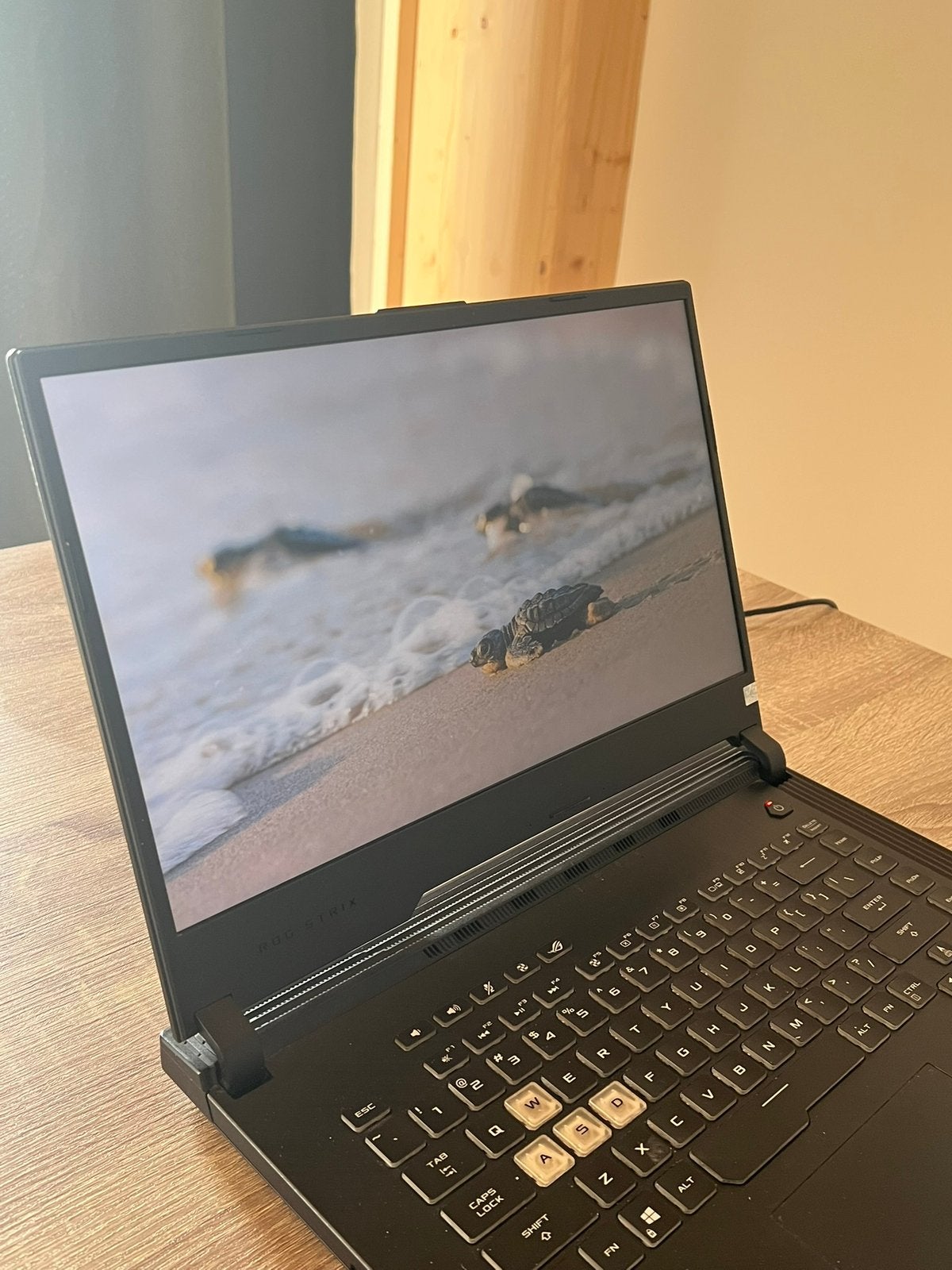 ASUS laptop ROG Strix G531GT Gaming Laptop te koop - €449, Computers en Software, Windows Laptops, Ophalen, Gebruikt, Met videokaart