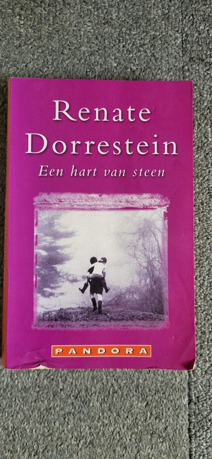 Renate Dorrestein - Een hart van steen (Pandora), Ophalen of Verzenden, Gelezen, Renate Dorrestein, Nederland