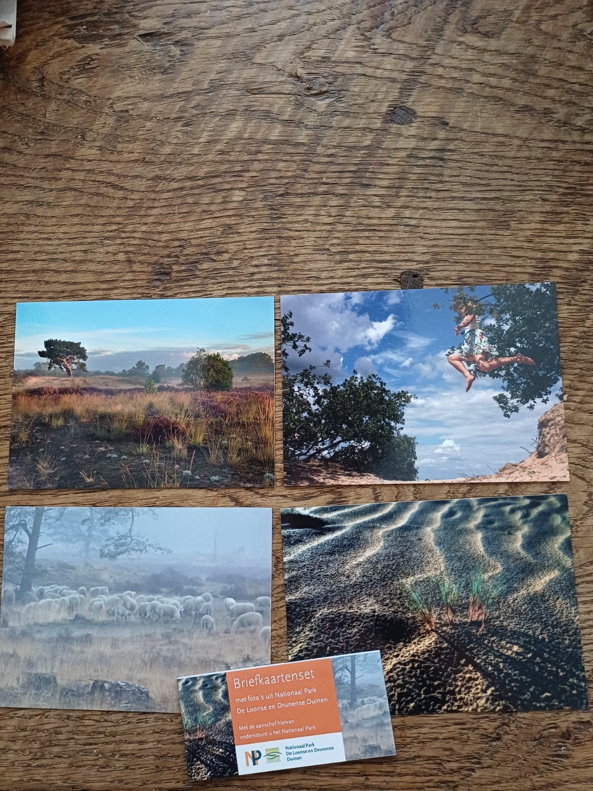 Drunen Briefkaartenset De Loonse en Drunense Duinen 4stuks, Verzamelen, Ophalen of Verzenden