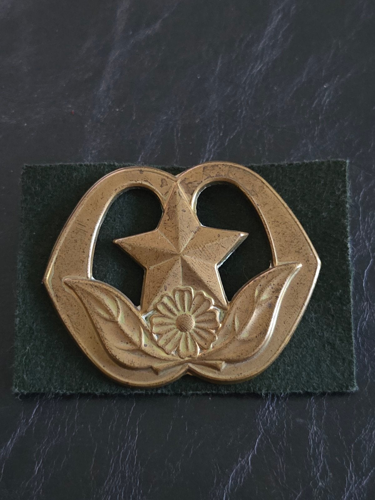 Baretembleem met oogjes Humanistisch Raadsman, Ophalen of Verzenden, Landmacht, Nederland, Embleem of Badge