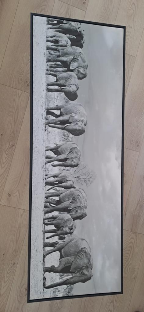 Zwart-wit foto olifantenrij in natuurlijke omgeving, Antiek en Kunst, Ophalen of Verzenden