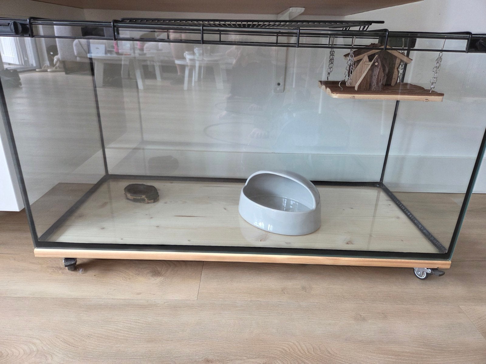 Hamsterkooi of terrarium, Dieren en Toebehoren, Knaagdieren en Konijnen | Hokken en Kooien, Kooi, Zo goed als nieuw, Hamster, 75 tot 110 cm