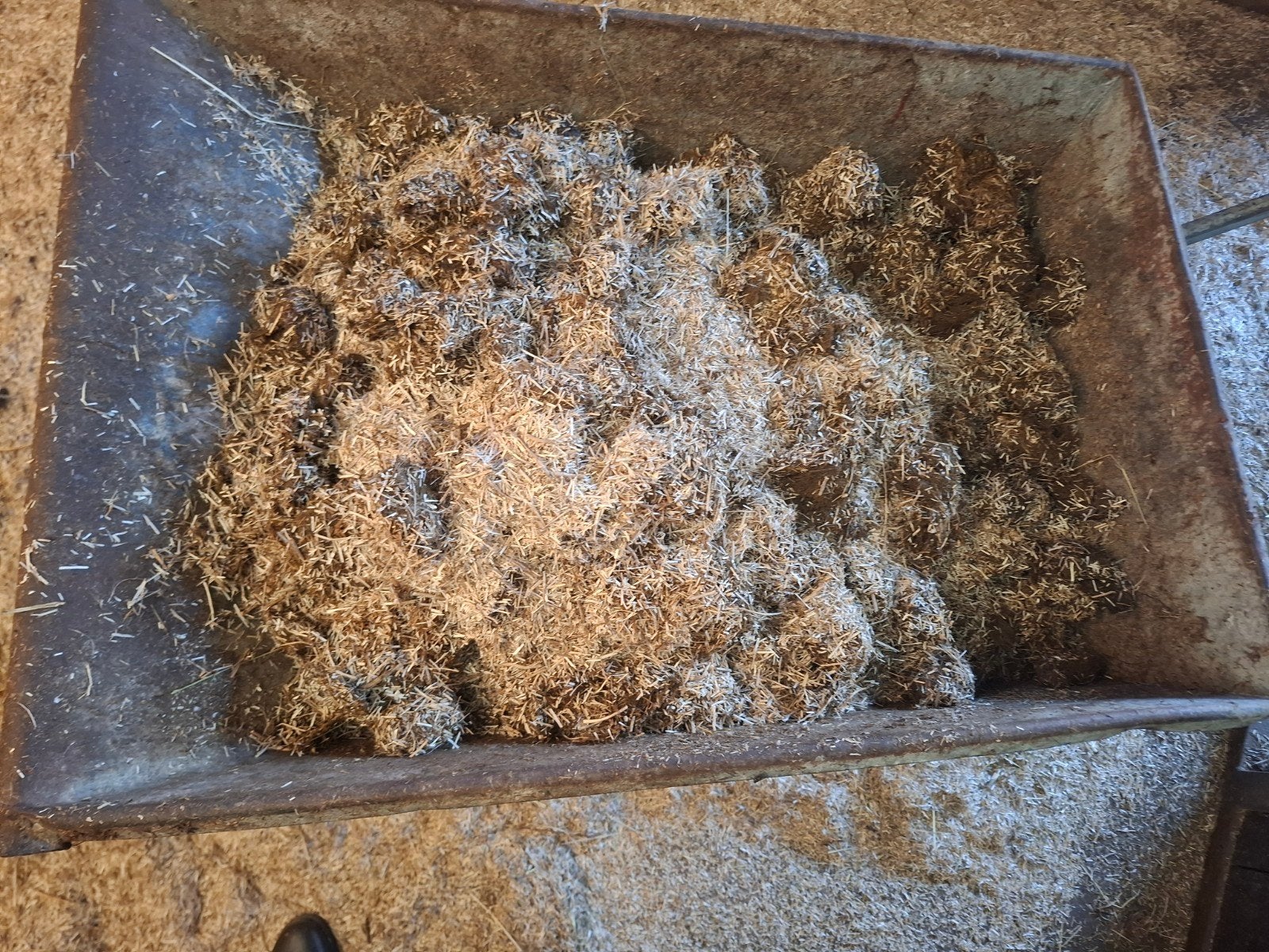 Gratis paardenmest, Ophalen