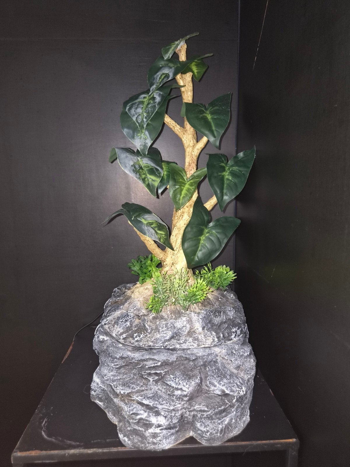 Dripper voor terrarium/ reptiel/ kameleon, Ophalen, Gebruikt, Overige typen