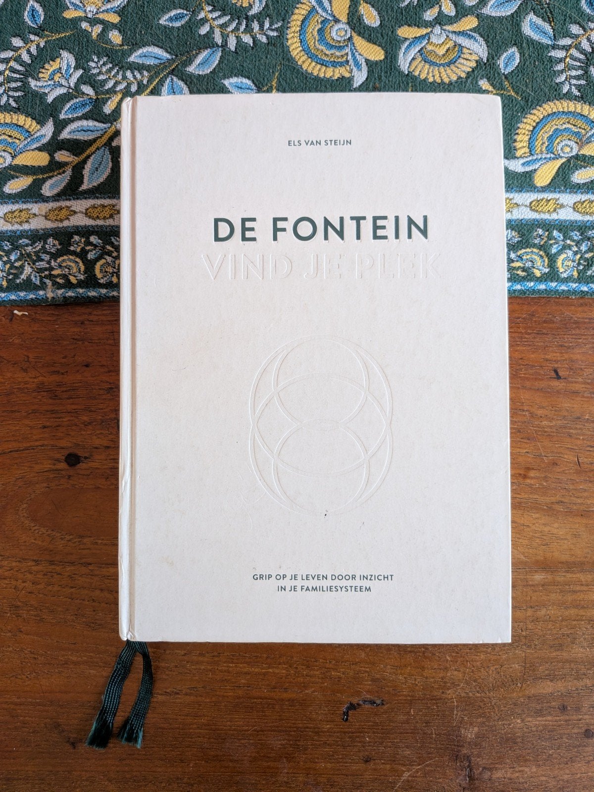 De Fontein: Vind je plek - Els van Steijn, Boeken, Ophalen of Verzenden, Zo goed als nieuw, Els van Steijn