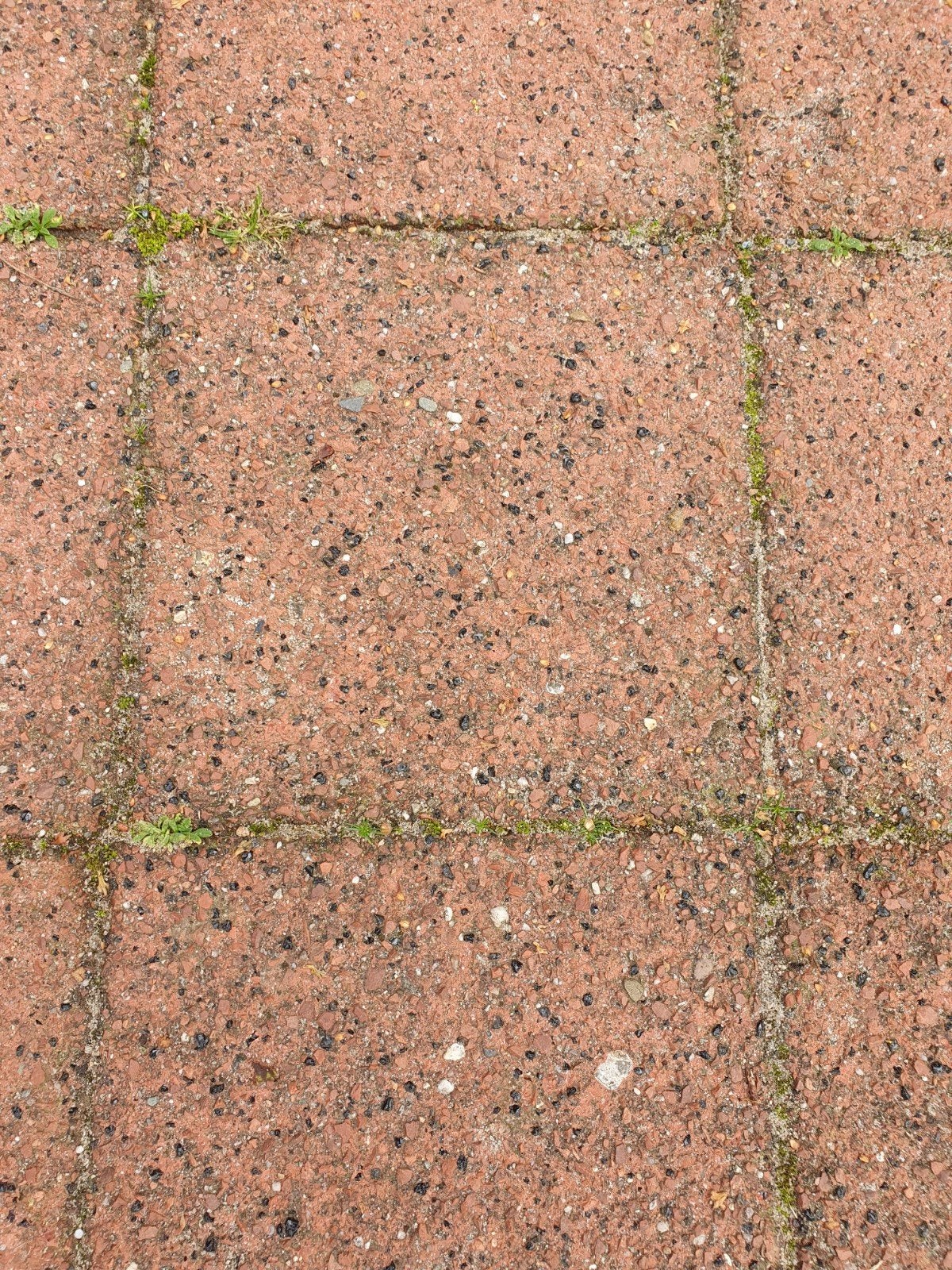 gratis tuintegels 20x20 cm, Tuin en Terras, Ophalen, Gebruikt, Beton, Terrastegels
