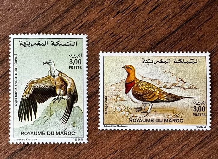Marokko 1992 Vogels - Postfris roofvogel parelhoen, Postzegels en Munten, Postzegels | Afrika, Ophalen of Verzenden, Marokko, Postfris