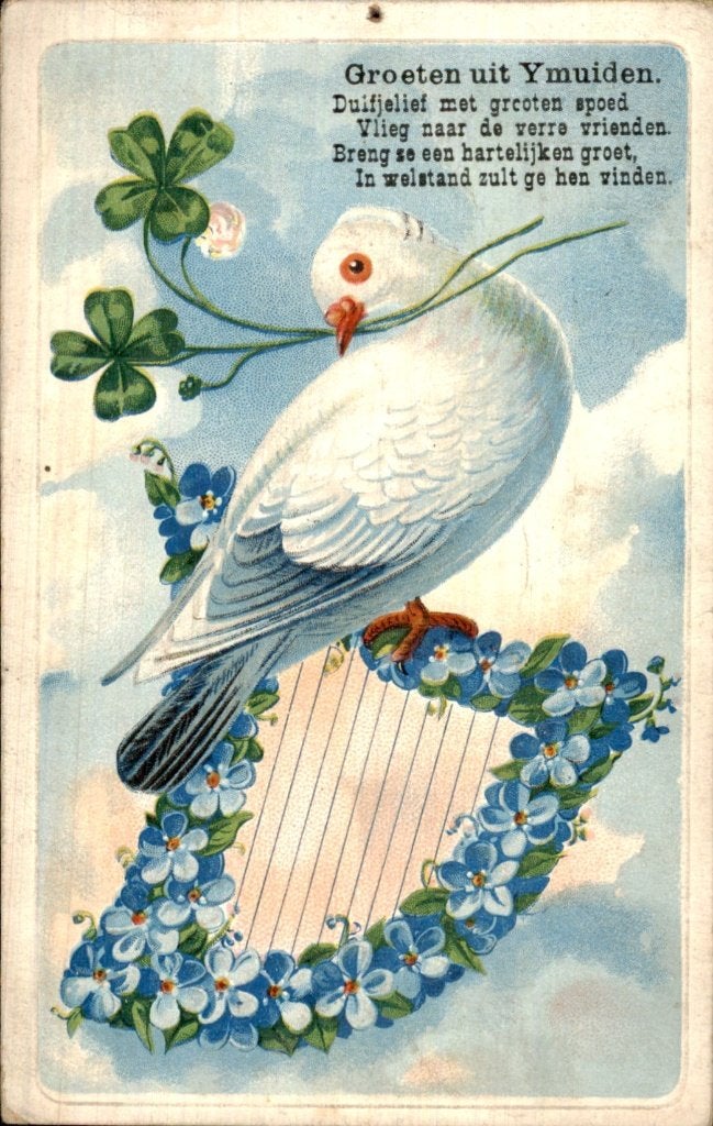 Ymuiden - Duif - Groeten, Ophalen of Verzenden, Voor 1920, Gelopen, Noord-Holland