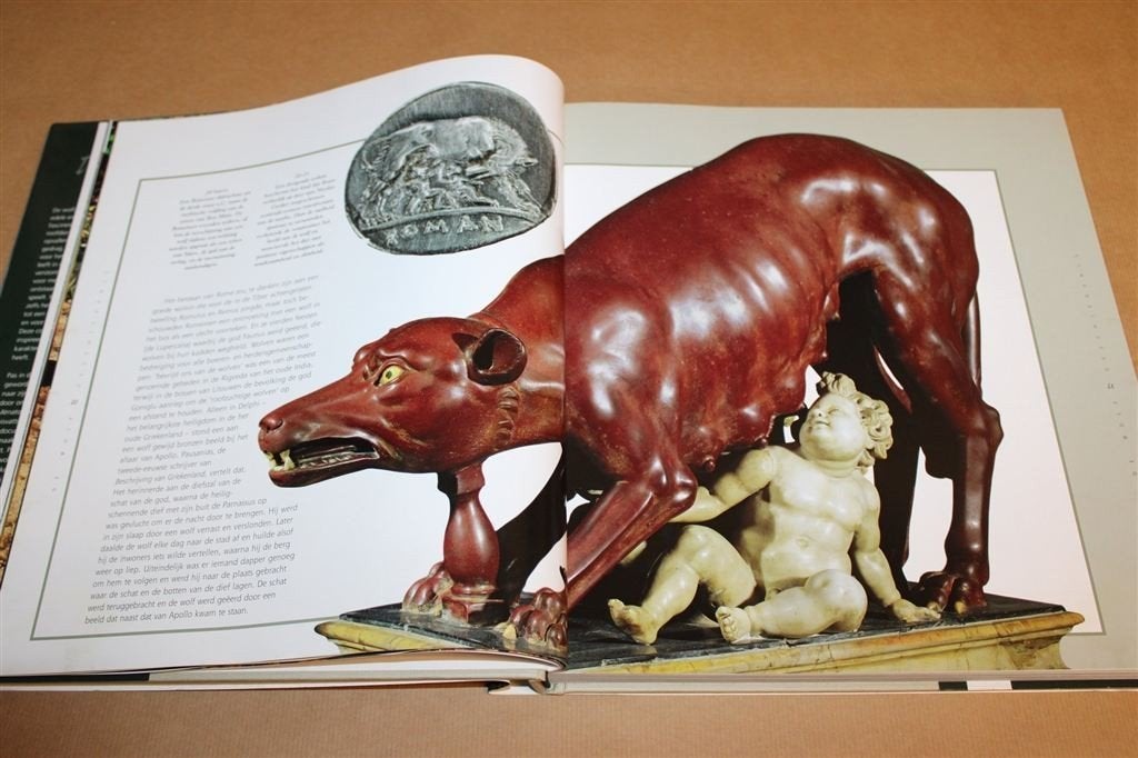De Wolf, Mythe en Werkelijkheid — Fotoboek Wolven en Gedrag, Boeken, Dieren en Huisdieren, Ophalen of Verzenden, Gelezen, Katten