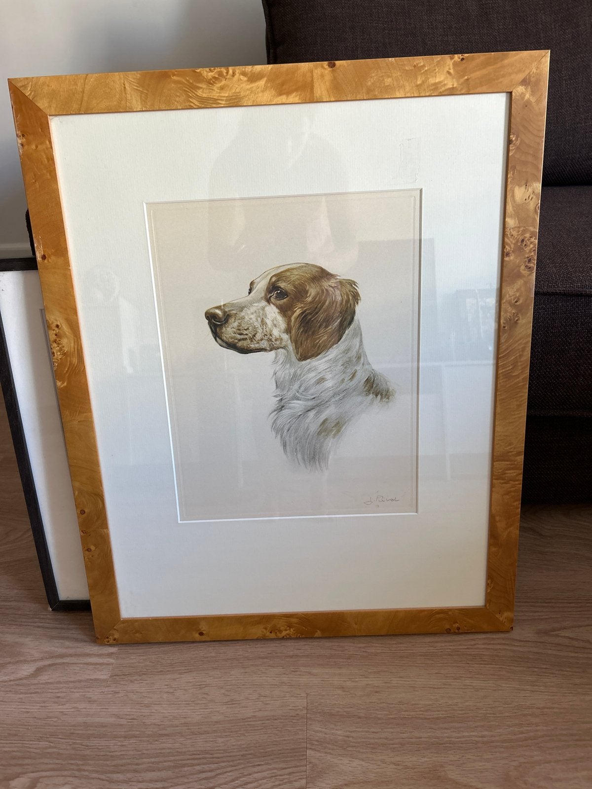 Ingelijste tekening van een hond, Ophalen, Tekening, Potloodtekening, Achter glas