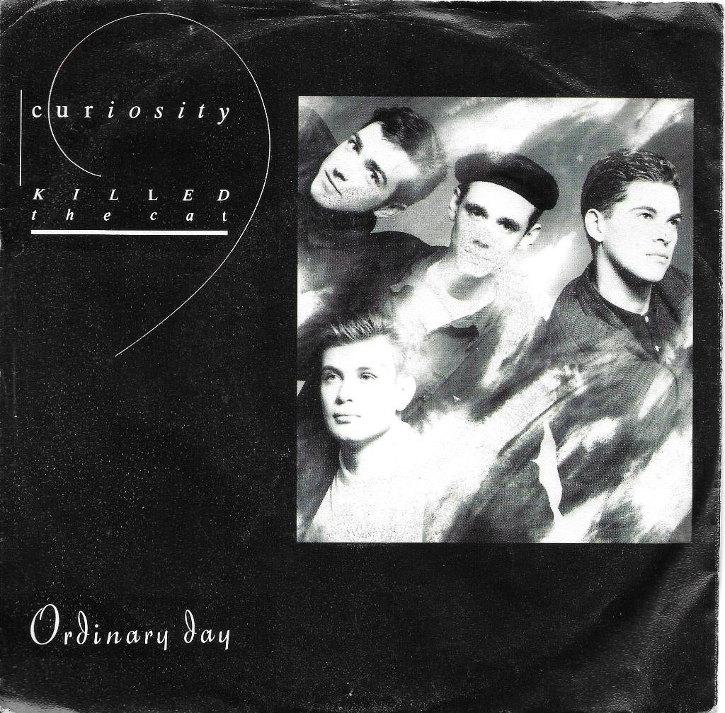 Vinyl Single Curiosity, Ophalen of Verzenden, Gebruikt, Pop