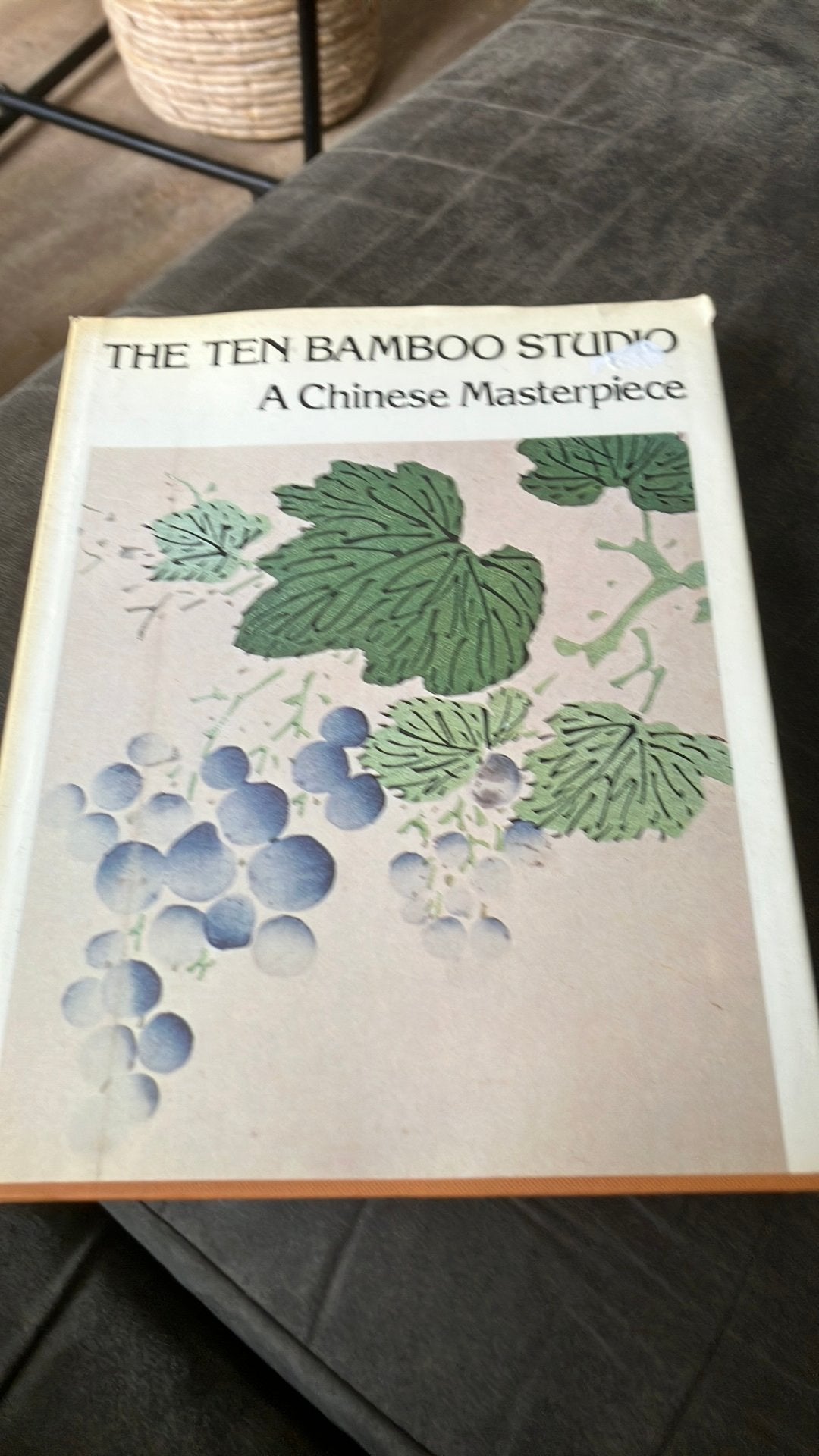 The ten bamboo studio, Boeken, Ophalen of Verzenden, Zo goed als nieuw, Bloemen, Planten en Bomen