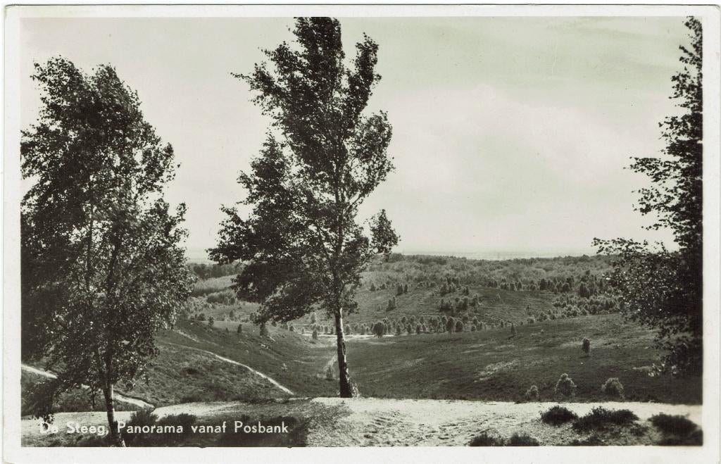 De Steeg – Panorama vanaf Posbank., Ophalen of Verzenden, 1940 tot 1960, Ongelopen, Gelderland