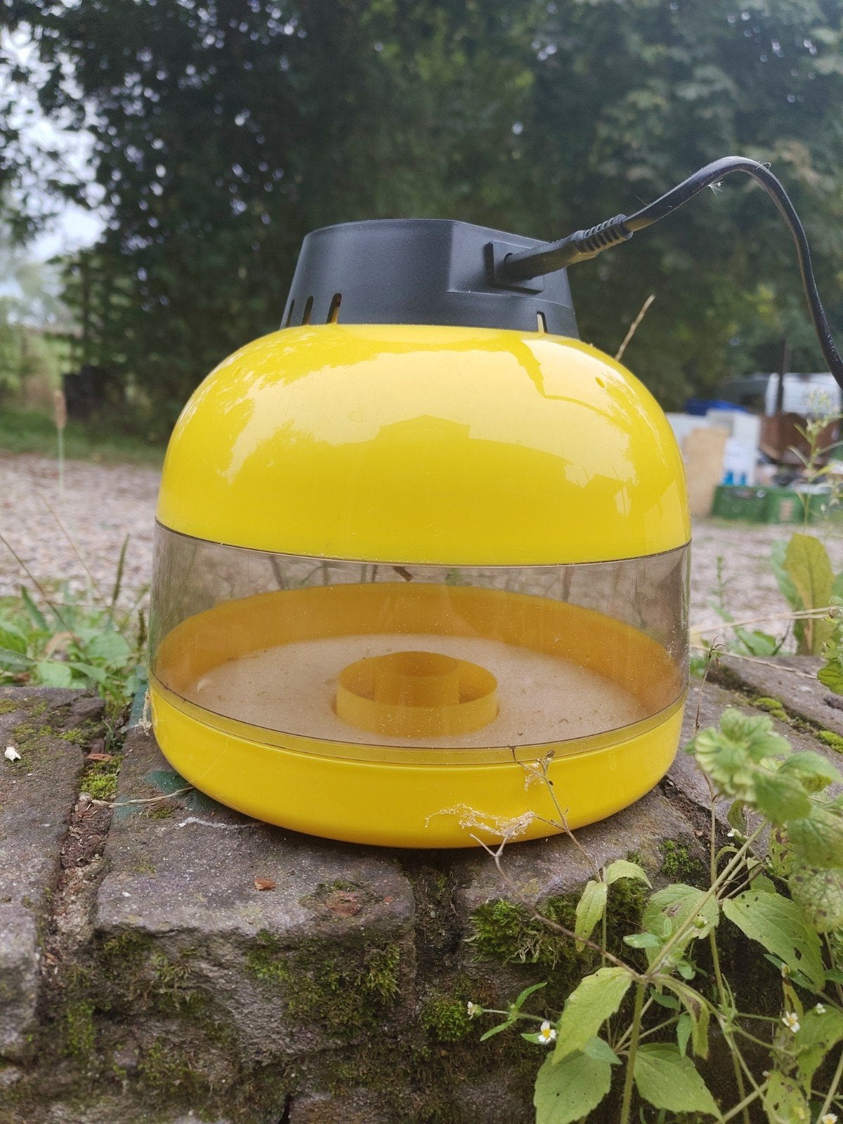 mini incubator broedmachine voor eieren, Ophalen of Verzenden, Zo goed als nieuw